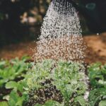 Efficiënte Waterbeheer Oplossingen